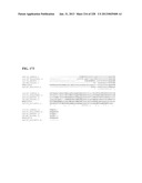 GENETIC ELEMENTS, PROTEINS, AND ASSOCIATED METHODS INCLUDING APPLICATION     OF ADDIITNAL GENETIC INFORMATION TO GRAM (+) THERMOACIDOPHILES diagram and image