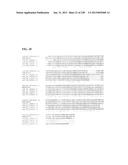 GENETIC ELEMENTS, PROTEINS, AND ASSOCIATED METHODS INCLUDING APPLICATION     OF ADDIITNAL GENETIC INFORMATION TO GRAM (+) THERMOACIDOPHILES diagram and image