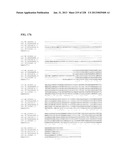 GENETIC ELEMENTS, PROTEINS, AND ASSOCIATED METHODS INCLUDING APPLICATION     OF ADDIITNAL GENETIC INFORMATION TO GRAM (+) THERMOACIDOPHILES diagram and image