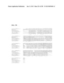 GENETIC ELEMENTS, PROTEINS, AND ASSOCIATED METHODS INCLUDING APPLICATION     OF ADDIITNAL GENETIC INFORMATION TO GRAM (+) THERMOACIDOPHILES diagram and image