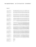 GENETIC ELEMENTS, PROTEINS, AND ASSOCIATED METHODS INCLUDING APPLICATION     OF ADDIITNAL GENETIC INFORMATION TO GRAM (+) THERMOACIDOPHILES diagram and image