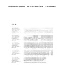 GENETIC ELEMENTS, PROTEINS, AND ASSOCIATED METHODS INCLUDING APPLICATION     OF ADDIITNAL GENETIC INFORMATION TO GRAM (+) THERMOACIDOPHILES diagram and image