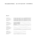 GENETIC ELEMENTS, PROTEINS, AND ASSOCIATED METHODS INCLUDING APPLICATION     OF ADDIITNAL GENETIC INFORMATION TO GRAM (+) THERMOACIDOPHILES diagram and image