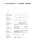 GENETIC ELEMENTS, PROTEINS, AND ASSOCIATED METHODS INCLUDING APPLICATION     OF ADDIITNAL GENETIC INFORMATION TO GRAM (+) THERMOACIDOPHILES diagram and image