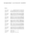 GENETIC ELEMENTS, PROTEINS, AND ASSOCIATED METHODS INCLUDING APPLICATION     OF ADDIITNAL GENETIC INFORMATION TO GRAM (+) THERMOACIDOPHILES diagram and image