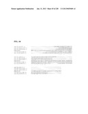 GENETIC ELEMENTS, PROTEINS, AND ASSOCIATED METHODS INCLUDING APPLICATION     OF ADDIITNAL GENETIC INFORMATION TO GRAM (+) THERMOACIDOPHILES diagram and image