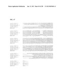 GENETIC ELEMENTS, PROTEINS, AND ASSOCIATED METHODS INCLUDING APPLICATION     OF ADDIITNAL GENETIC INFORMATION TO GRAM (+) THERMOACIDOPHILES diagram and image