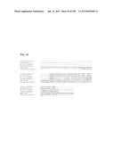 GENETIC ELEMENTS, PROTEINS, AND ASSOCIATED METHODS INCLUDING APPLICATION     OF ADDIITNAL GENETIC INFORMATION TO GRAM (+) THERMOACIDOPHILES diagram and image