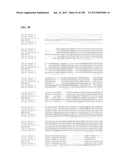 GENETIC ELEMENTS, PROTEINS, AND ASSOCIATED METHODS INCLUDING APPLICATION     OF ADDIITNAL GENETIC INFORMATION TO GRAM (+) THERMOACIDOPHILES diagram and image