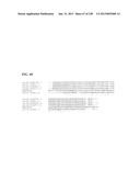 GENETIC ELEMENTS, PROTEINS, AND ASSOCIATED METHODS INCLUDING APPLICATION     OF ADDIITNAL GENETIC INFORMATION TO GRAM (+) THERMOACIDOPHILES diagram and image