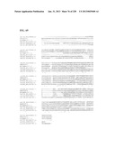 GENETIC ELEMENTS, PROTEINS, AND ASSOCIATED METHODS INCLUDING APPLICATION     OF ADDIITNAL GENETIC INFORMATION TO GRAM (+) THERMOACIDOPHILES diagram and image