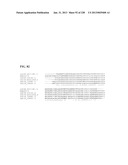 GENETIC ELEMENTS, PROTEINS, AND ASSOCIATED METHODS INCLUDING APPLICATION     OF ADDIITNAL GENETIC INFORMATION TO GRAM (+) THERMOACIDOPHILES diagram and image