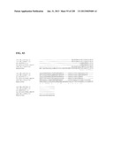 GENETIC ELEMENTS, PROTEINS, AND ASSOCIATED METHODS INCLUDING APPLICATION     OF ADDIITNAL GENETIC INFORMATION TO GRAM (+) THERMOACIDOPHILES diagram and image