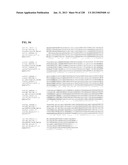 GENETIC ELEMENTS, PROTEINS, AND ASSOCIATED METHODS INCLUDING APPLICATION     OF ADDIITNAL GENETIC INFORMATION TO GRAM (+) THERMOACIDOPHILES diagram and image