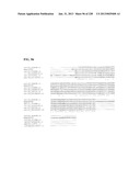 GENETIC ELEMENTS, PROTEINS, AND ASSOCIATED METHODS INCLUDING APPLICATION     OF ADDIITNAL GENETIC INFORMATION TO GRAM (+) THERMOACIDOPHILES diagram and image