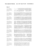 GENETIC ELEMENTS, PROTEINS, AND ASSOCIATED METHODS INCLUDING APPLICATION     OF ADDIITNAL GENETIC INFORMATION TO GRAM (+) THERMOACIDOPHILES diagram and image