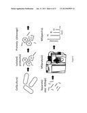 Methods and Systems for Cell State Quantification diagram and image