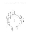 ALBUMIN FUSION PROTEINS diagram and image