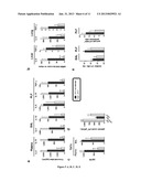 INHIBITING PEPTIDES DERIVED FROM TREM-LIKE TRANSCRIPT 1 (TLT-1) AND USES     THEREOF diagram and image