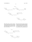 NOVEL GLUCOKINASE ACTIVATORS AND METHODS OF USING SAME diagram and image