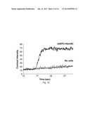 METHODS AND COMPOSITIONS FOR THE TREATMENT OF PROLIFERATIVE VASCULAR     DISORDERS diagram and image