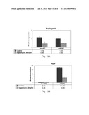 METHODS AND COMPOSITIONS FOR THE TREATMENT OF PROLIFERATIVE VASCULAR     DISORDERS diagram and image