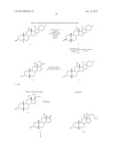 SYNTHETIC BILE ACID COMPOSITIONS AND METHODS diagram and image