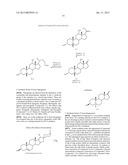 SYNTHETIC BILE ACID COMPOSITIONS AND METHODS diagram and image