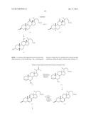 SYNTHETIC BILE ACID COMPOSITIONS AND METHODS diagram and image