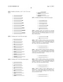 MODULATION OF TIMP1 AND TIMP2 EXPRESSION diagram and image