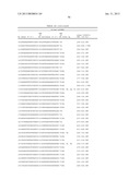 MODULATION OF TIMP1 AND TIMP2 EXPRESSION diagram and image