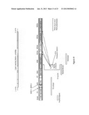 NUCLEIC ACIDS FOR TARGETING MULTIPLE REGIONS OF THE HCV GENOME diagram and image