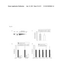 NUCLEIC ACIDS FOR TARGETING MULTIPLE REGIONS OF THE HCV GENOME diagram and image