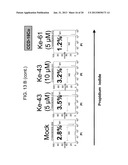 PROCESS FOR THE PREPARATION OF SMALL MOLECULE INHIBITORS OF MDM2 AND     INTERMEDIATES USED THEREIN diagram and image