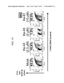 PROCESS FOR THE PREPARATION OF SMALL MOLECULE INHIBITORS OF MDM2 AND     INTERMEDIATES USED THEREIN diagram and image