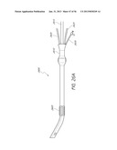 VISUALIZED ENDOTRACHEAL TUBE PLACEMENT SYSTEMS diagram and image