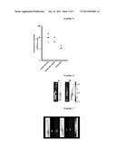 SYNTHESIS AND CHARACTERIZATION OF NEAR IR FLUORESCENT MAGNETIC AND     NON-MAGNETIC ALBUMIN NANOPARTICLES FOR BIOMEDICAL APPLICATIONS diagram and image