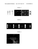 SYNTHESIS AND CHARACTERIZATION OF NEAR IR FLUORESCENT MAGNETIC AND     NON-MAGNETIC ALBUMIN NANOPARTICLES FOR BIOMEDICAL APPLICATIONS diagram and image