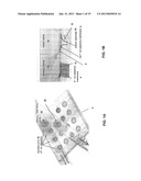 MICROFABRICATED ION-SELECTIVE ELECTRODES FOR FUNCTIONAL ELECTRICAL     STIMULATION AND NEURAL BLOCKING diagram and image