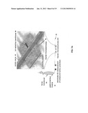 MICROFABRICATED ION-SELECTIVE ELECTRODES FOR FUNCTIONAL ELECTRICAL     STIMULATION AND NEURAL BLOCKING diagram and image