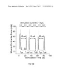 MICROFABRICATED ION-SELECTIVE ELECTRODES FOR FUNCTIONAL ELECTRICAL     STIMULATION AND NEURAL BLOCKING diagram and image