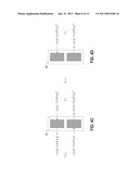 HIERARCHICAL ROUTING FOR TWO-WAY INFORMATION FLOW AND STRUCTURAL     PLASTICITY IN NEURAL NETWORKS diagram and image