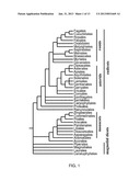 PLANT TRANSCRIPTIONAL REGULATORS OF ABIOTIC STRESS II diagram and image