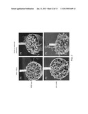 PLANT TRANSCRIPTIONAL REGULATORS OF ABIOTIC STRESS II diagram and image