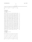 PLANTS HAVING ENHANCED YIELD-RELATED TRAITS AND METHOD FOR MAKING THE SAME diagram and image