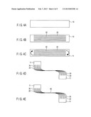 FLEXIBLE WIRING MODULE AND FLEXIBLE WIRING DEVICE diagram and image