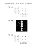 WAVEFRONT MEASURING APPARATUS, WAVEFRONT MEASURING METHOD, AND     COMPUTER-READABLE MEDIUM STORING PROGRAM diagram and image