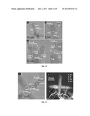 OCTAPOD SHAPED NANOCRYSTALS AND USE THEREOF diagram and image