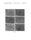 OCTAPOD SHAPED NANOCRYSTALS AND USE THEREOF diagram and image