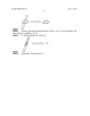 IDENTIFICATION METHOD FOR SIMULTANEOUSLY IDENTIFYING MULTIPLE TOUCH POINTS     ON TOUCH SCREENS diagram and image